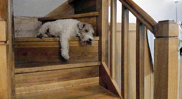 Charming house with garden | Pets are welcome — photo 4