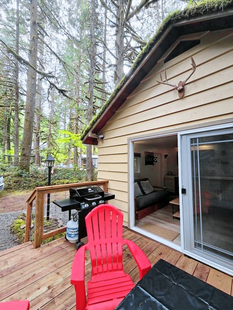 Cabin Marblemount