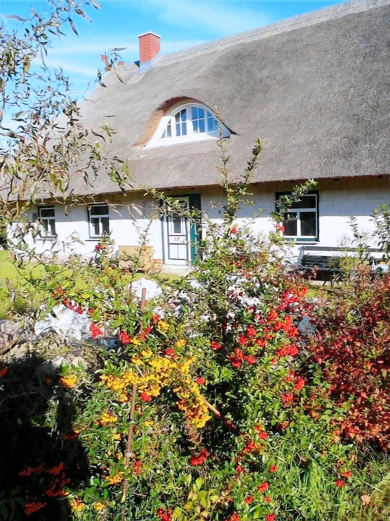 Ferienhaus Pepelow