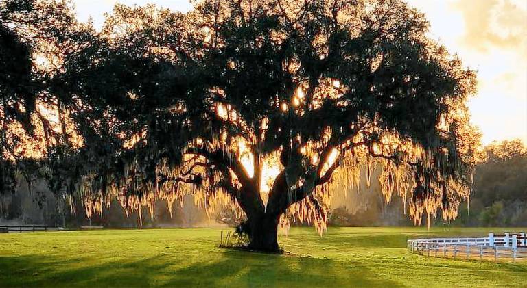 The Grand Oaks Resort in Lady Lake, FL