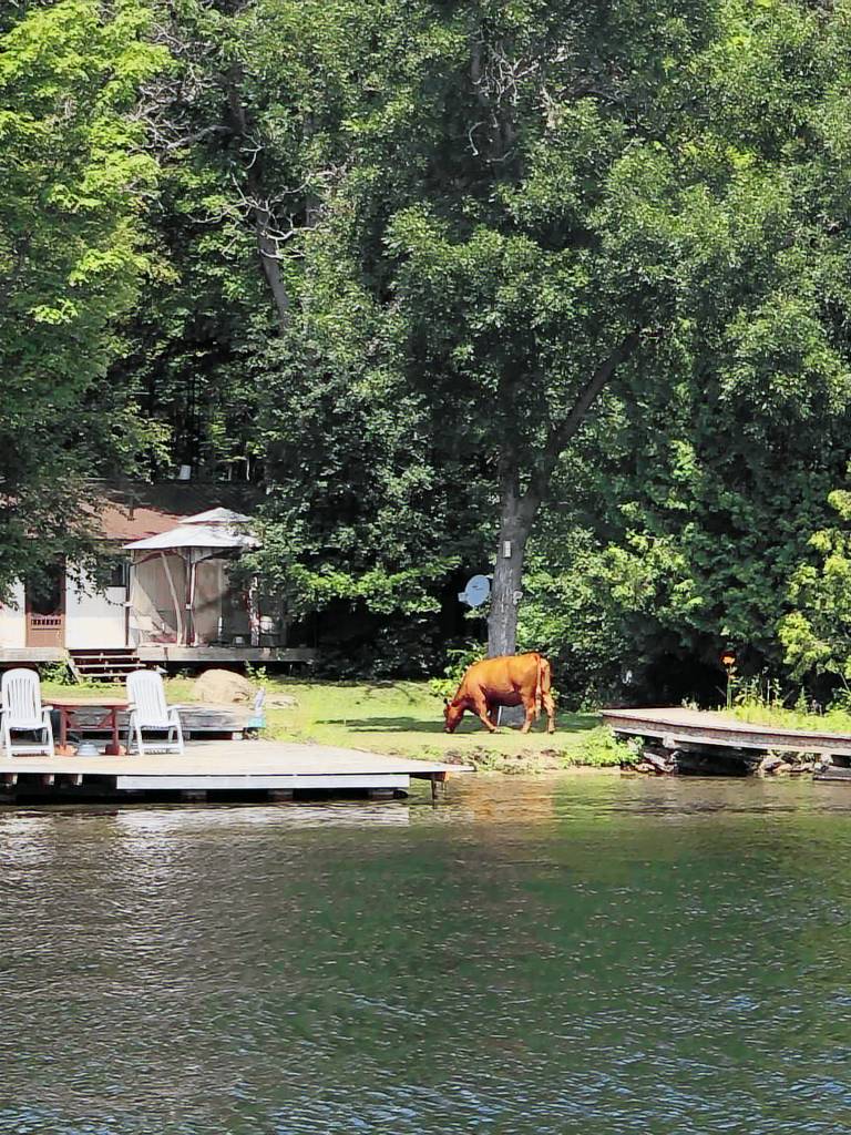 House Bobcaygeon