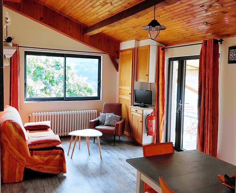 Gite with terrace | Pets allowed — photo 5