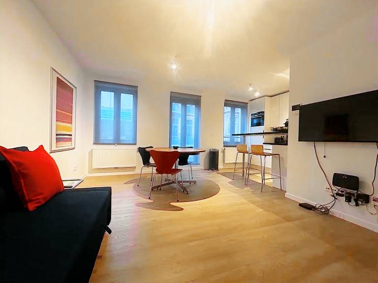 Rental apartment | Near Cathedral of St. Michael and St. Gudula | Dogs allowed in Brussels