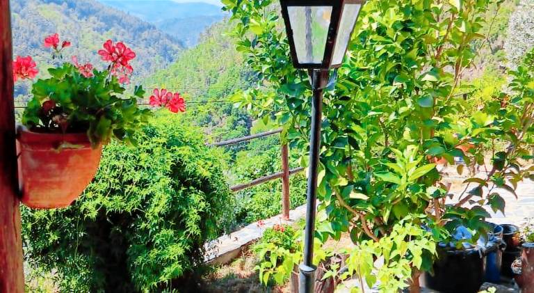 Wonderful chalet with barbecue, patio & private pool | Suitable for remote work | Pet-friendly — photo 4
