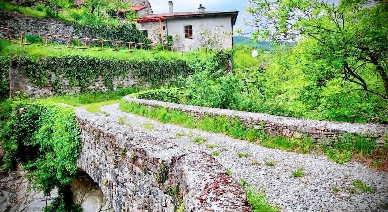 Bed & Breakfast Bettola