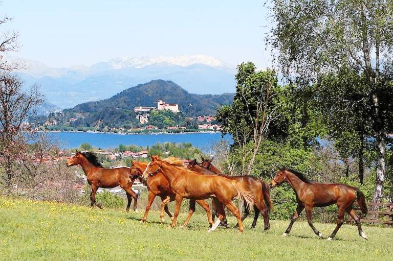 Casale  Lago d'Orta