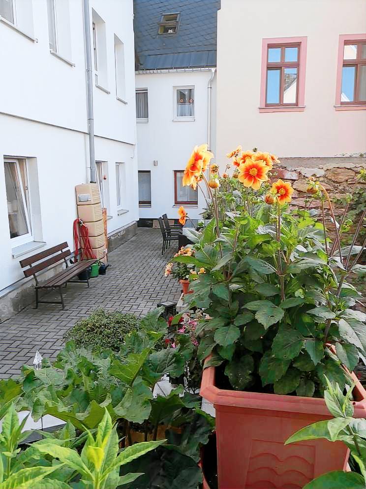 foto1