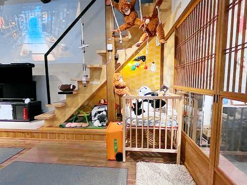 foto3