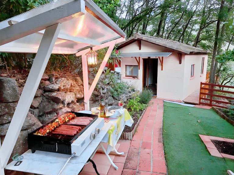 House with yard, grill & pool | Garden view | Dogs allowed — photo 4