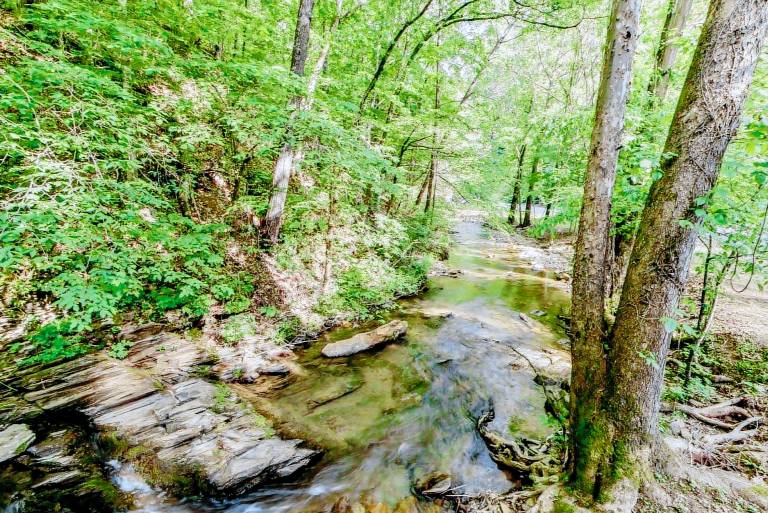Creekside: Pet Friendly, Free Attraction Tickets, Hot Tub & Creek View — photo 4