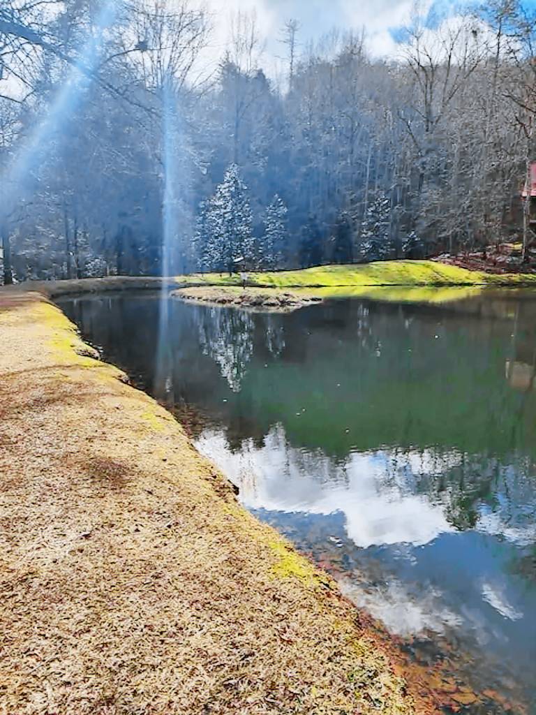 Cabin Dahlonega