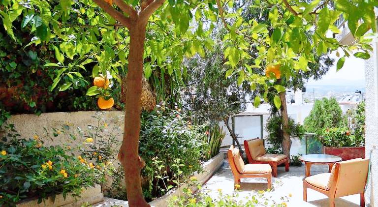 Apartment with terrace & yard — photo 3