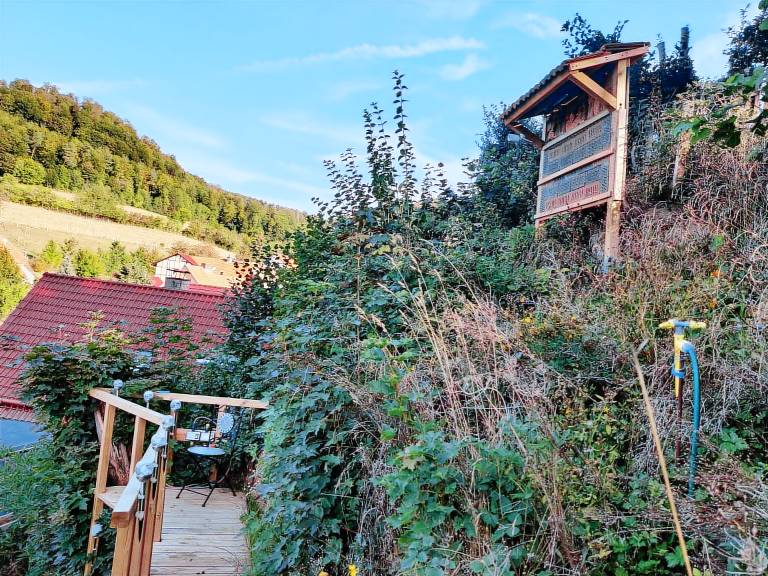 House with patio & grill | Mountain view — photo 5