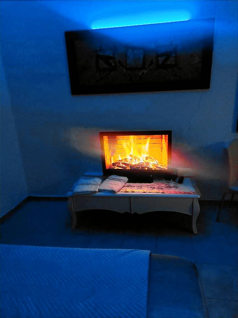 Rental apartment with yard — photo 4