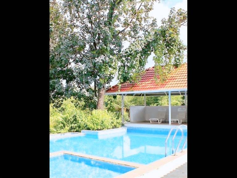 Lovely farm with garden, jacuzzi & barbeque | Dogs allowed — photo 3