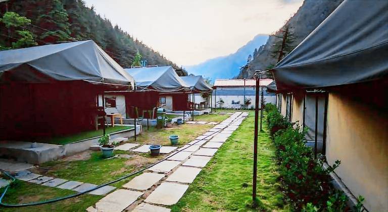 North Deodar Camps, Kasol — photo 3