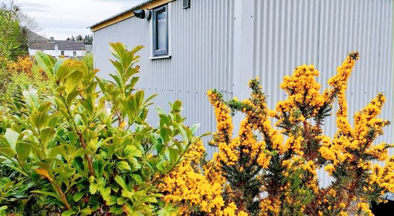 Dingle Way Glamping DANU Annascaul