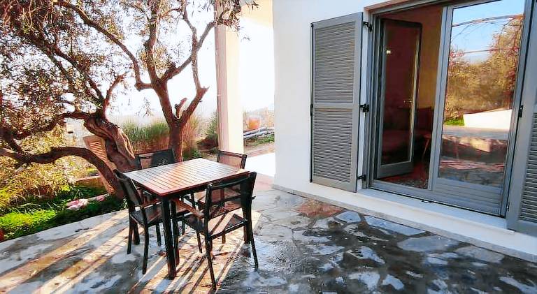 Admonis - Home in the olive grove — photo 5