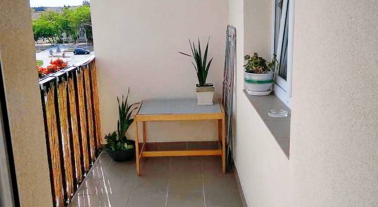 Apartment | Pets are welcome — photo 4