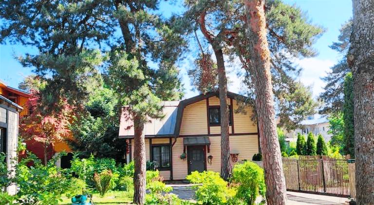Sunnyhouse — photo 2