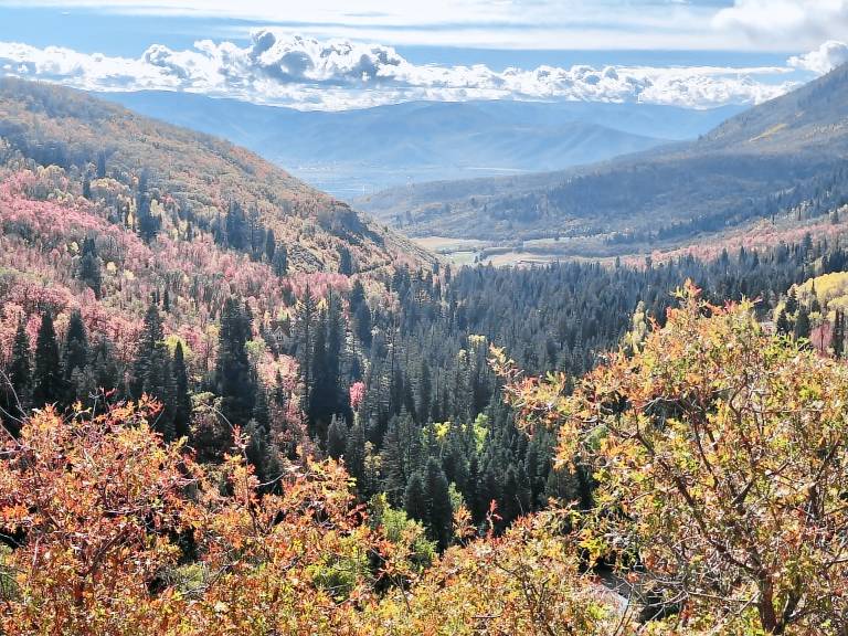 Cabin  Park City