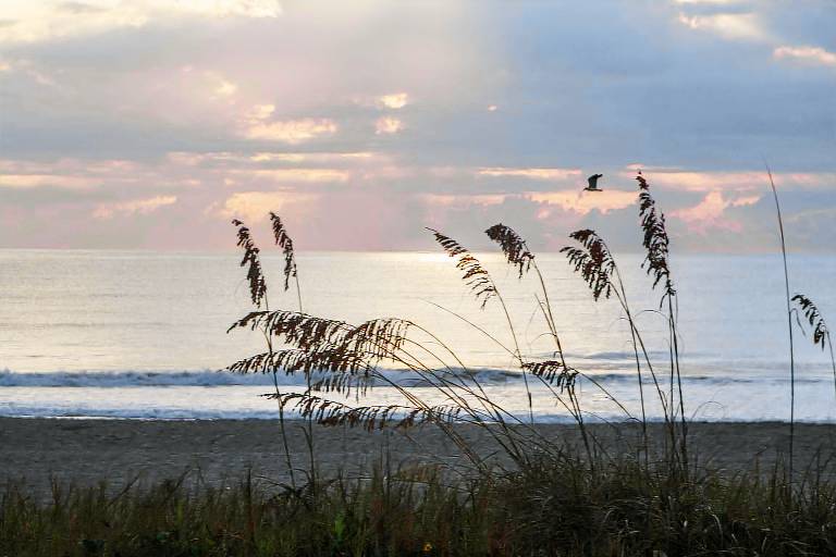 Condo Fort Myers