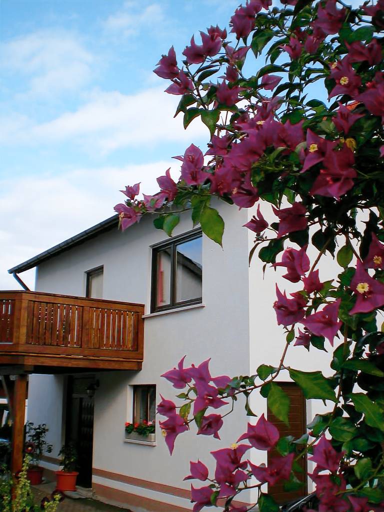 Ferienhaus Wüstensachsen