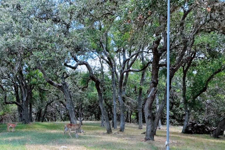 Cabin New Braunfels
