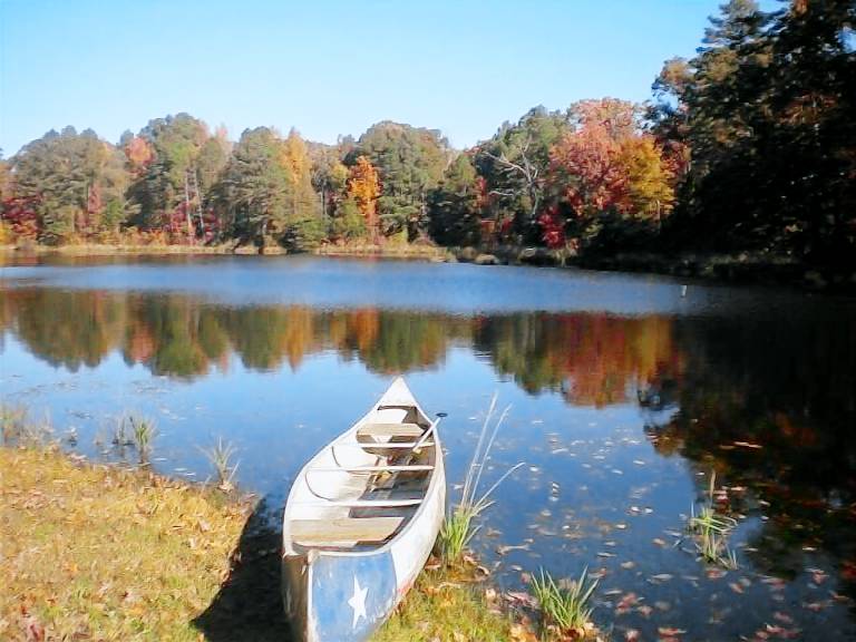 Cabin  Pittsburg