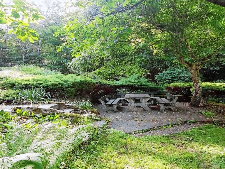 Vacation home with barbecue & yard — photo 5