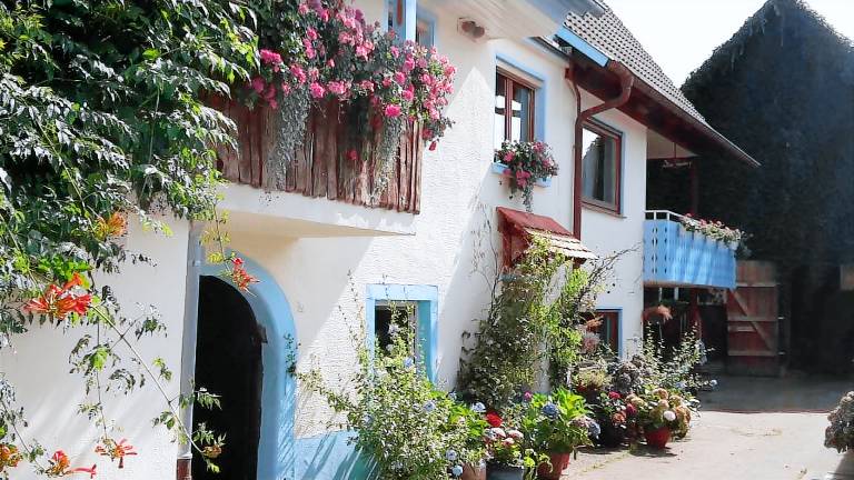 Ferienwohnung Herbolzheim