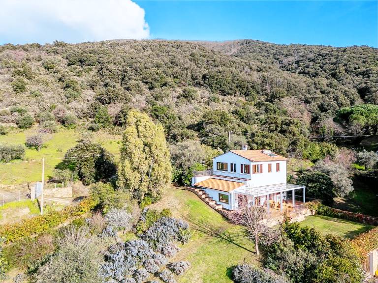 House with patio, barbecue & private pool | Nature view | Dogs allowed — photo 4