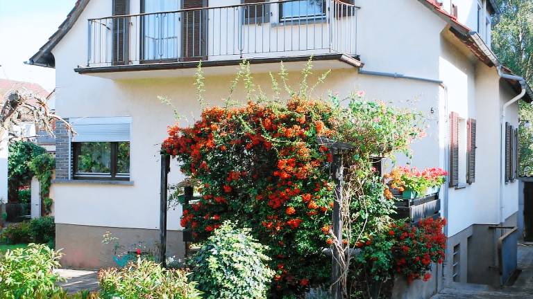 Ferienhaus  Michelstadt