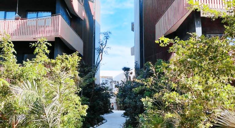 Holiday apartment with pool — photo 5