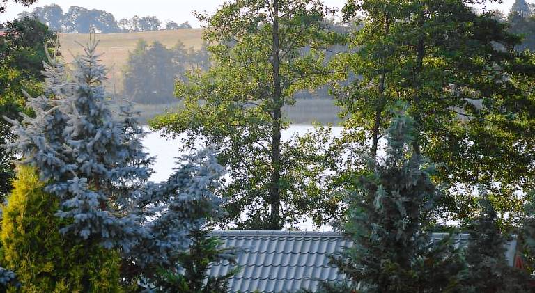 House with 2 rooms for 7 persons — photo 4