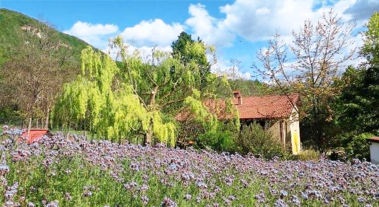 Agriturismo  Brignano