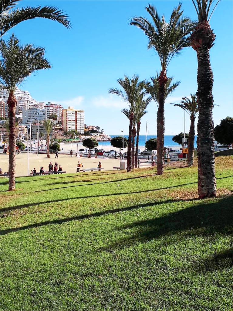 Appartement Villajoyosa