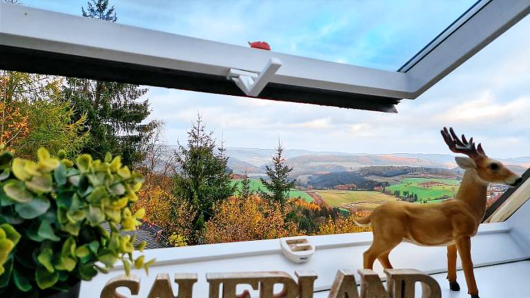 Ferienwohnung Andreasberg