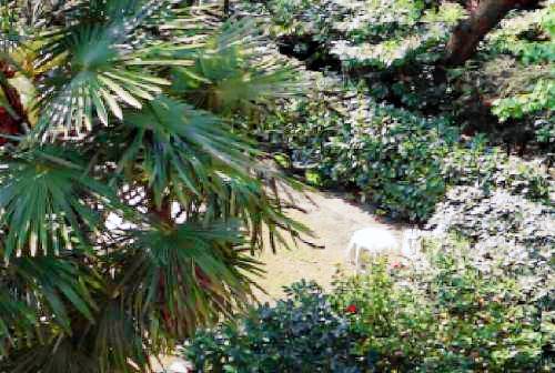 Accommodation  Gangtok