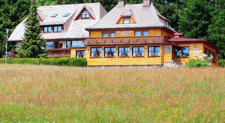 Hotel Restaurant Peterle in Feldberg