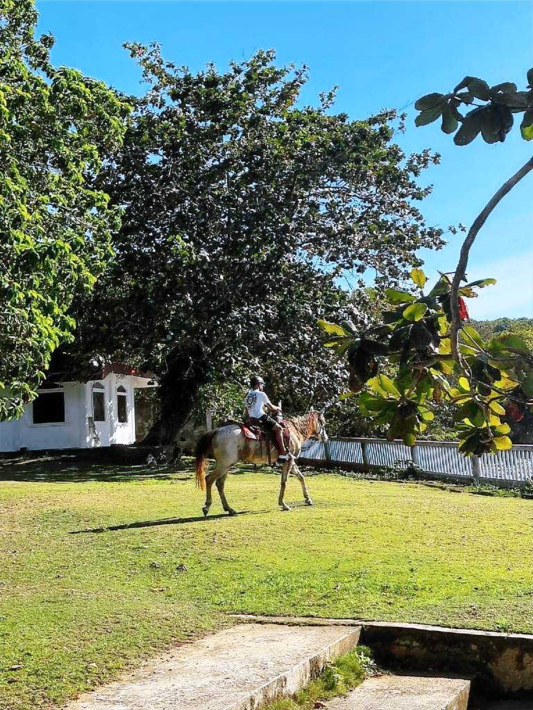 Tapilon Horse Cliff Resort — photo 5