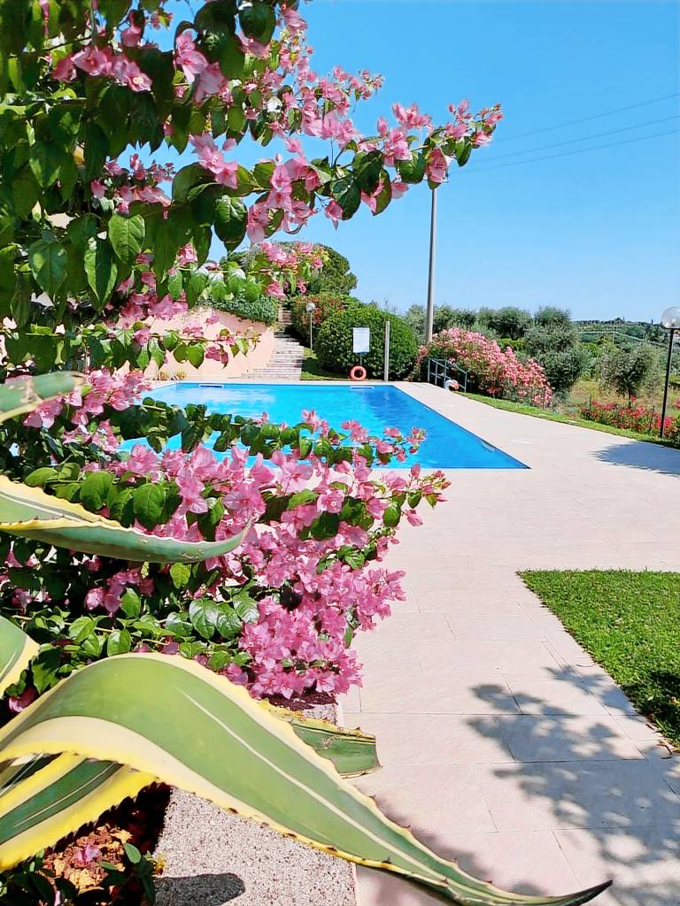 Appartement  Bardolino
