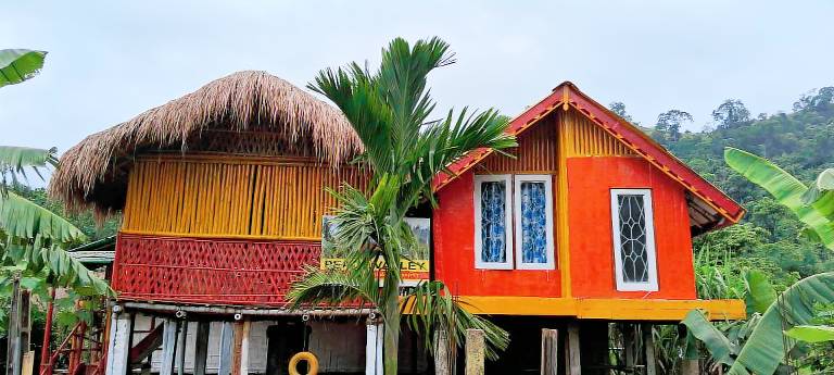House  Digaru Gaon