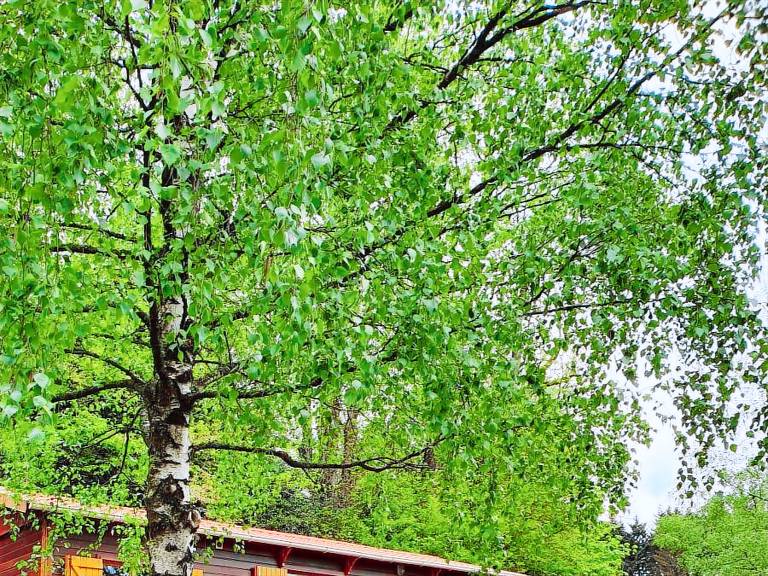 Chalet Saint-Didier-en-Velay