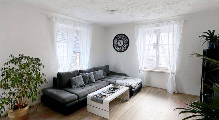 Holiday apartment | Pets allowed in Graz