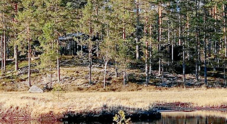 Nice vacation home | Pets are welcome in Kongsvinger