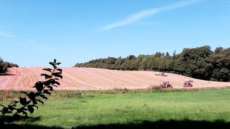 Ferienwohnung Ahrensbök