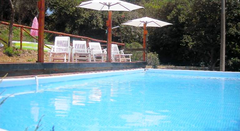 Farm with pool, barbeque & yard | Pet-friendly — photo 4