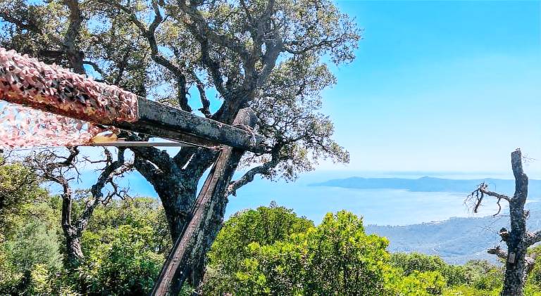 Chalet with 2 rooms for 4 persons in Le Lavandou