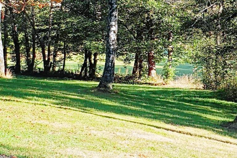 Vacation home with yard, sauna & BBQ — photo 5